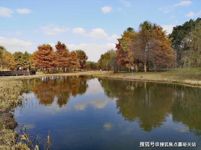 中心)-首页网站丨上海张江金茂府欢迎您丨楼盘详情ayx爱游戏app体育2025张江金茂府(售楼(图7)